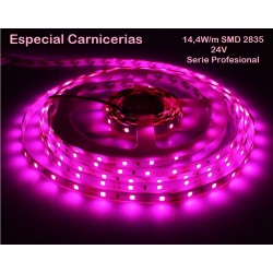 Tira LED Flexible 24V 14,4W/mt 180 Led/mt SMD 3528 IP20 Especial Carne Fresca, Serie Profesional, venta por metros